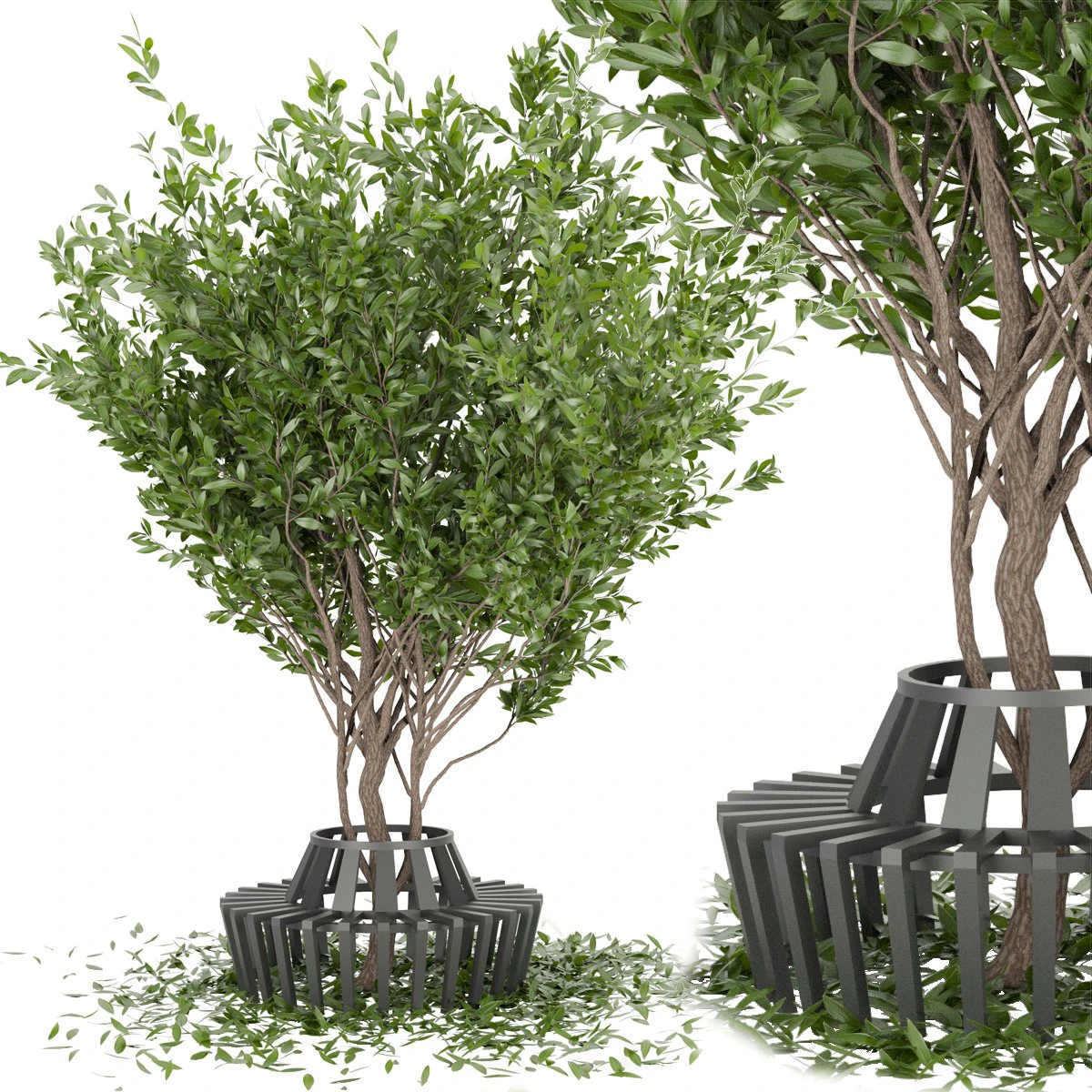 collection plant vol 106 3D Model .c4d .max .obj .3ds .fbx .stl .blend 