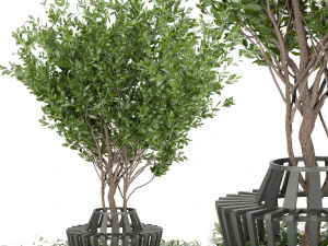 tanaman koleksi jilid 106 Model 3D