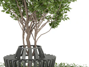 collection plant vol 106 3D Model
