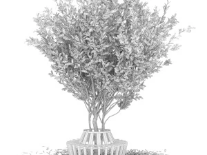 collection plant vol 106 3D Model
