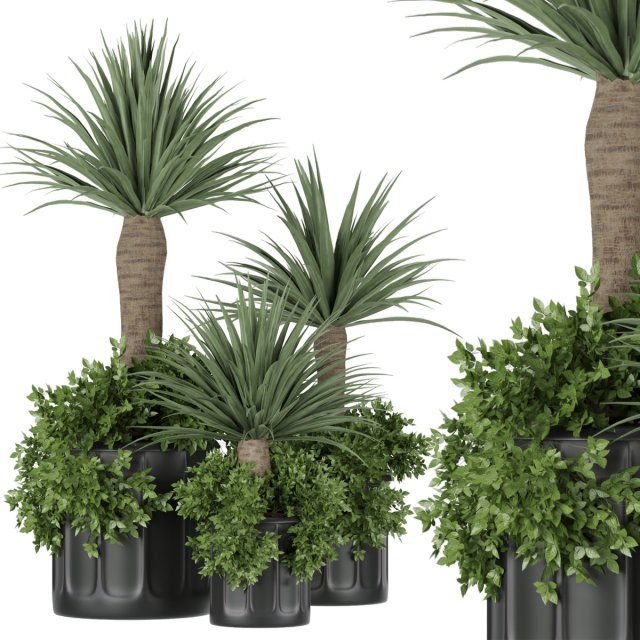 collection plant vol 108 3D Модель .c4d .max .obj .3ds .fbx .stl .blend 