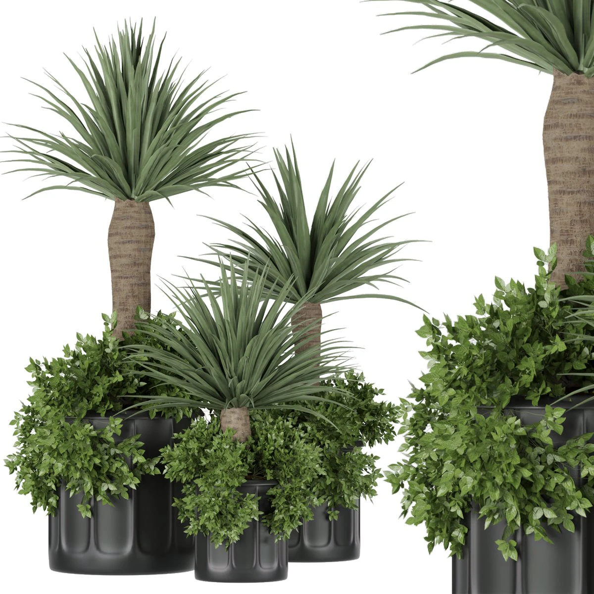 collection plant vol 108 3D Model .c4d .max .obj .3ds .fbx .stl .blend