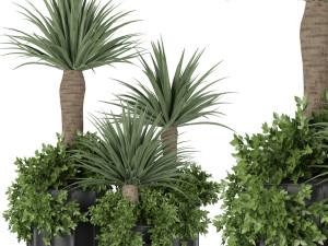 collection plant vol 108 3D Model