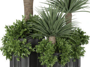 collection plant vol 108 3D Model