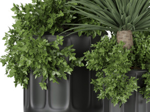 collection plant vol 108 3D Модель