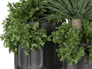 collection plant vol 108 3D Model