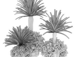 collection plant vol 108 3D Model