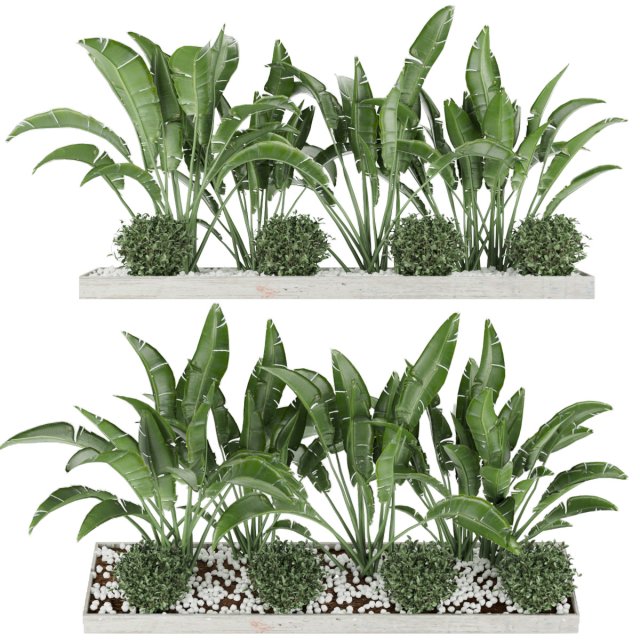 collection plant vol 109 Modelo 3D .c4d .max .obj .3ds .fbx .stl .blend 