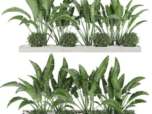 collection plant vol 109 3D Models