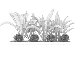 collection plant vol 109 Modelo 3D