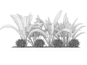 collection plant vol 109 3D Model