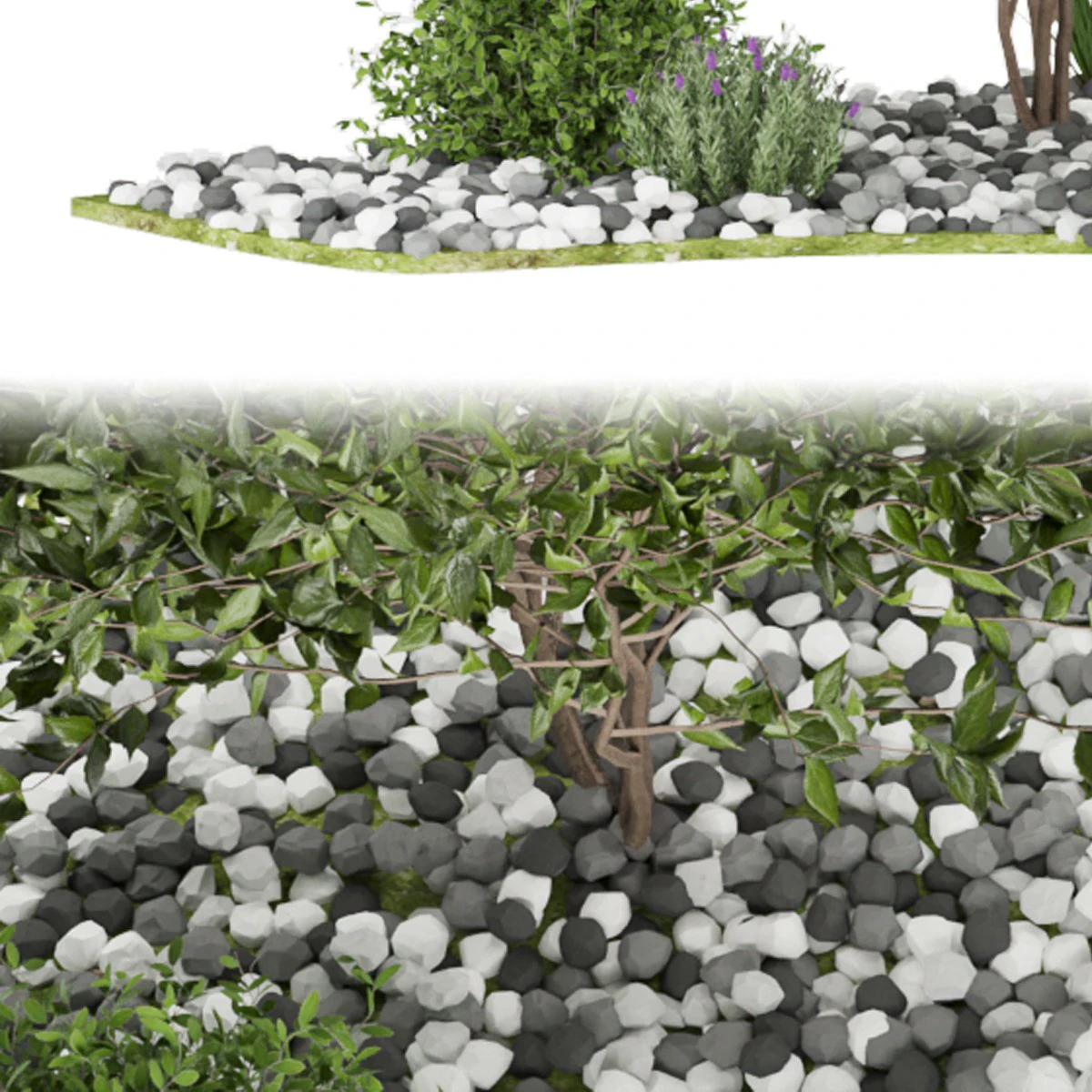 collection plant vol 110 3D Model .c4d .max .obj .3ds .fbx .stl .blend 