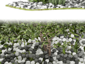 collection plant vol 110 Model 3D