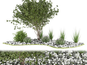 collection plant vol 110 3D Model