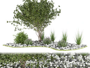 collection plant vol 110 3D Model