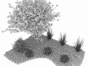 collection plant vol 110 3D Model