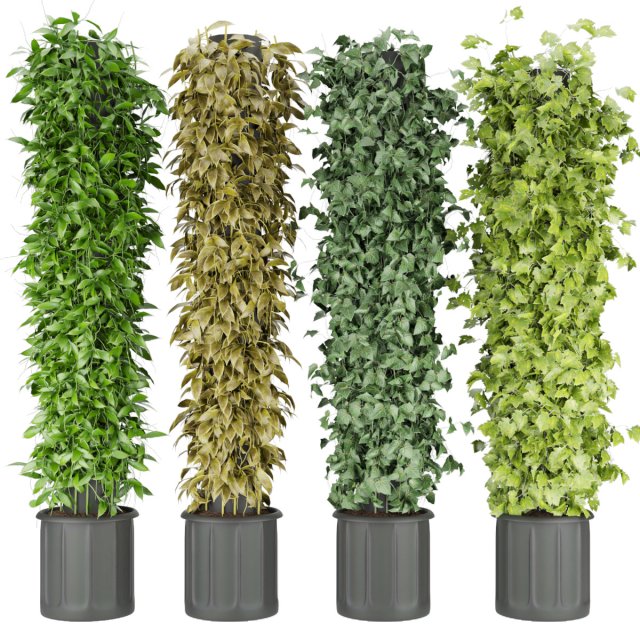 collection plant vol 113 3D Model .c4d .max .obj .3ds .fbx .stl .blend 