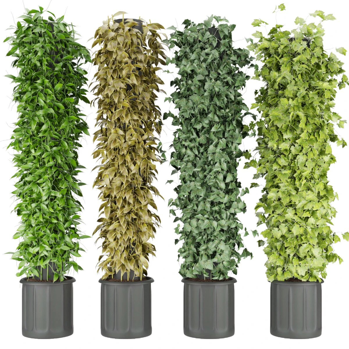 collection plant vol 113 3D Model .c4d .max .obj .3ds .fbx .stl .blend 