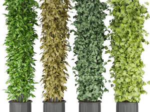 planta de coleta vol 113 Modelo 3D