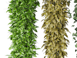 collection plant vol 113 3D Model
