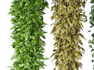 collection plant vol 113 3D Model
