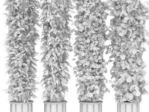 collection plant vol 113 3D Model