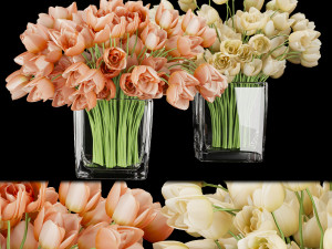 collection plant vol 114 3D Model