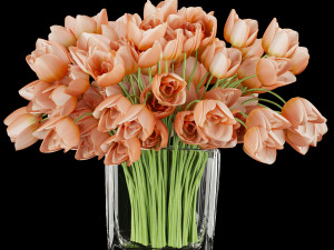 collection plant vol 114 3D Model
