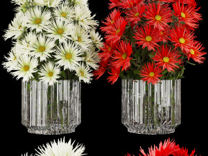 collection plant vol 115 3D Model