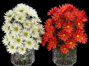 collection plant vol 115 3D Model