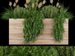 roślina zbierająca tom 116 Model 3D