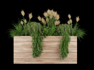 collection plant vol 116 3D मॉडल