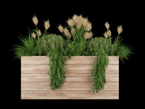 collection plant vol 116 3D Model