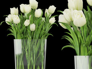 Сборник растений, том 119 3D Модель