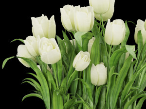 collection plant vol 119 3D Модель