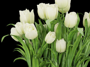 collection plant vol 119 3D Model