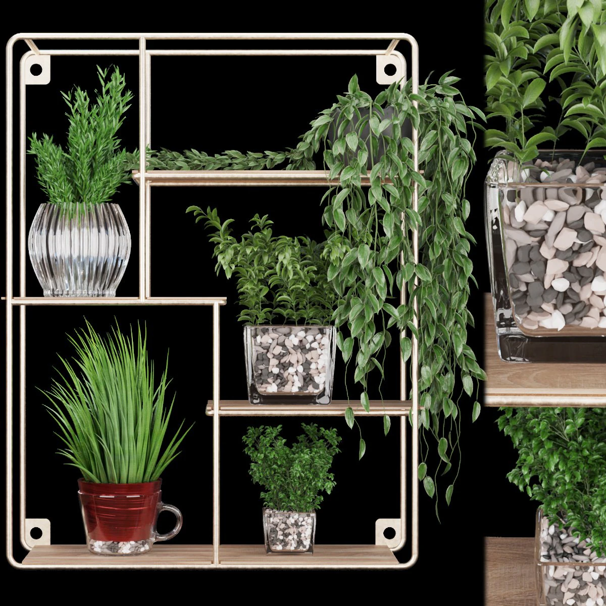 collection plant vol 122 3D Model .c4d .max .obj .3ds .fbx .stl .blend 