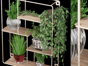 collection plant vol 122 3D Model