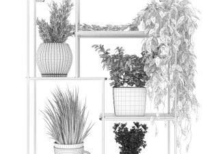 collection plant vol 122 3D Model