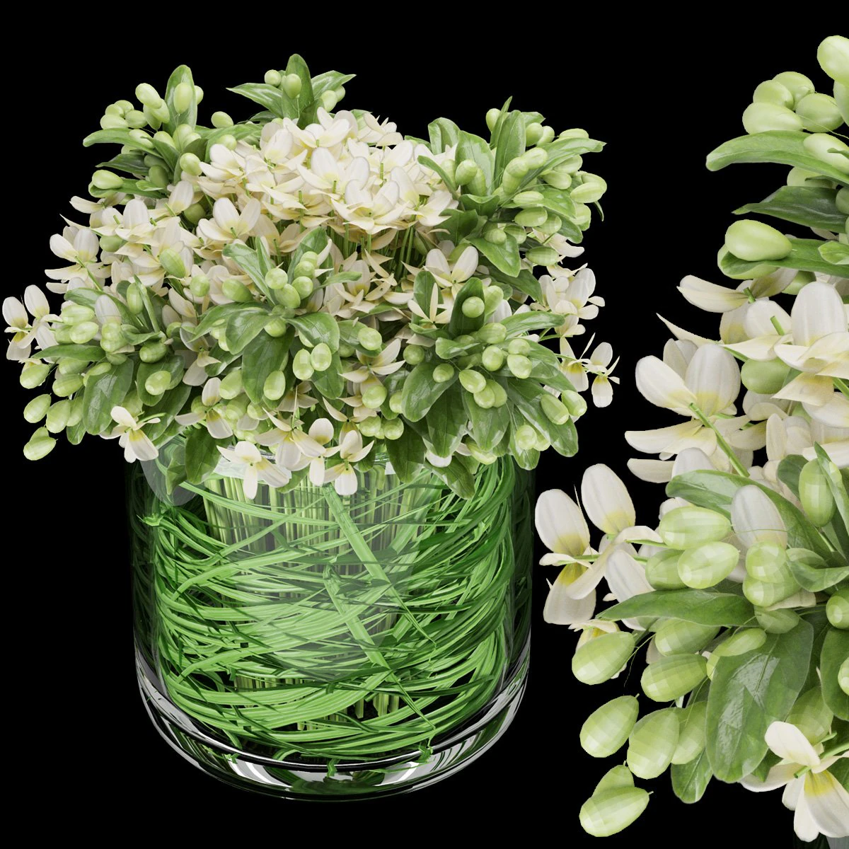 collection plant vol 123 3D Model .c4d .max .obj .3ds .fbx .stl .blend 