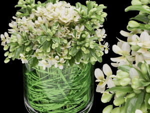 collection plant vol 123 Modello 3D