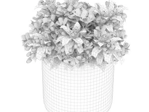 collection plant vol 123 3D Model