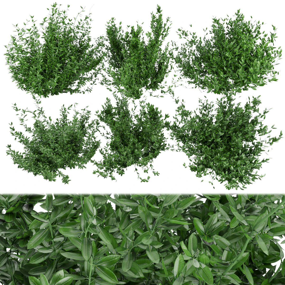 collection plant vol 124 3D Model .c4d .max .obj .3ds .fbx .stl .blend 