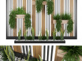 collection plant vol 117 3D Models