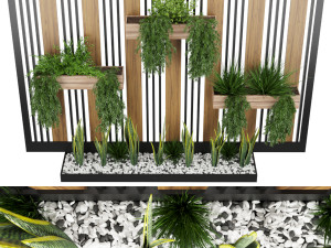 collection plant vol 117 Model 3D