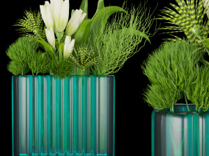 collection plant vol 129 3Dモデル
