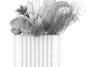 collection plant vol 129 3D Model
