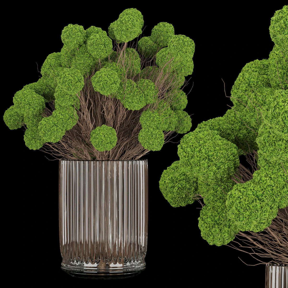 collection plant vol 130 3D Model .c4d .max .obj .3ds .fbx .stl .blend 