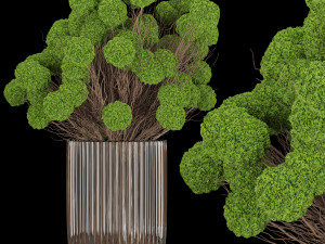 collection plant vol 130 3D Model