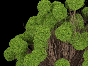 collection plant vol 130 3D Model